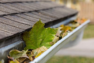 Gutter Clean Out, Repair and Installation